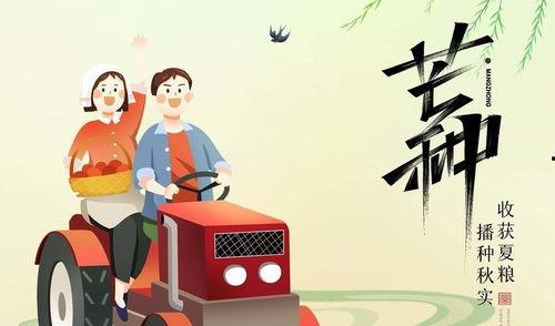 兜风记吃瓜,一场吃瓜盛宴的欢乐之旅
