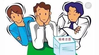 兜风记吃瓜,一场吃瓜盛宴的欢乐之旅