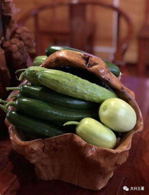 绍兴网红吃瓜,揭秘幕后故事与热门话题