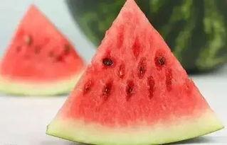 秋天吃瓜冬天吃根,秋天吃瓜,冬天吃根,品味时光流转的味蕾之旅