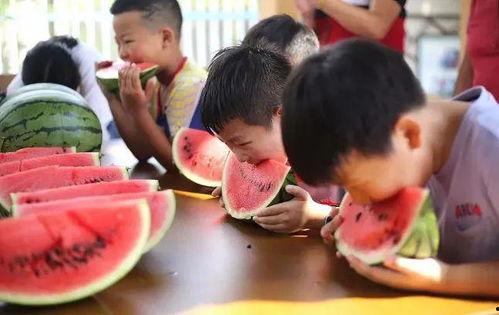 吃瓜大赛比赛结果,吃瓜大赛巅峰对决结果揭晓!