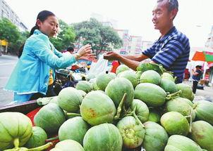 来济南吃瓜,来济南吃瓜,尽享清凉美味