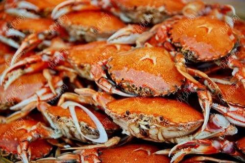 螃蟹胶瓜可以吃吗,美味还是禁忌?探究其食用安全与营养价值