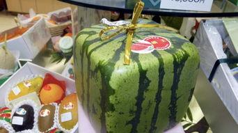 吃瓜吃串了,揭秘“吃瓜吃串了”的独特魅力