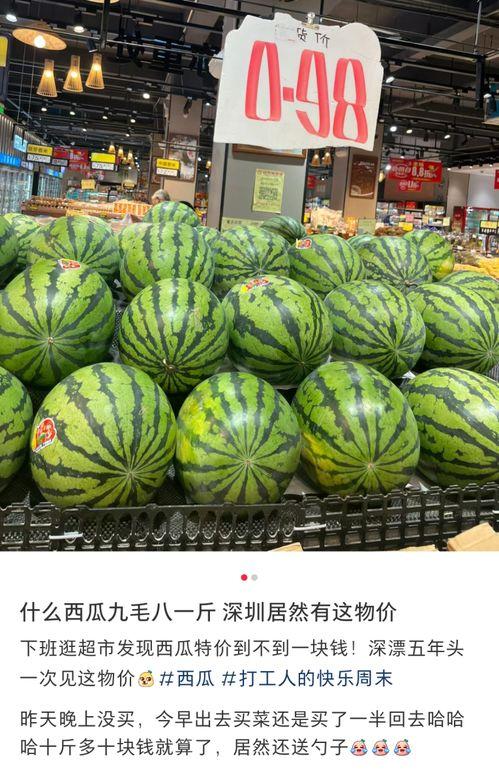 东莞二中吃瓜,揭秘校园里的热点风波