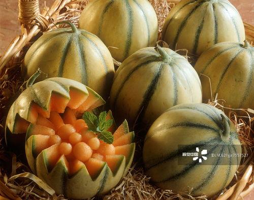 口令吃瓜网,网络舆论场中的“瓜田”奇观