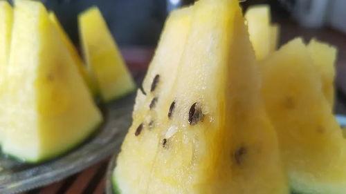 口令吃瓜网,网络舆论场中的“瓜田”奇观