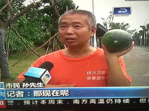 白河吃瓜群众事件