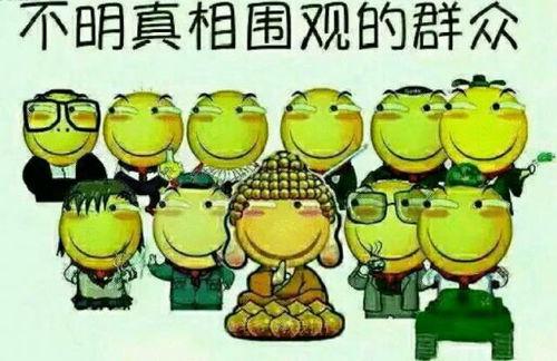 吃瓜群众018,网络热议背后的真相与思考